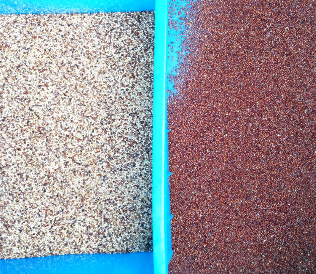 Quinoa Zaden Kleur Sorteren Machine Langkoren Gekookte Rijst Kleur Sorter Optische Zaden Kleur Selector