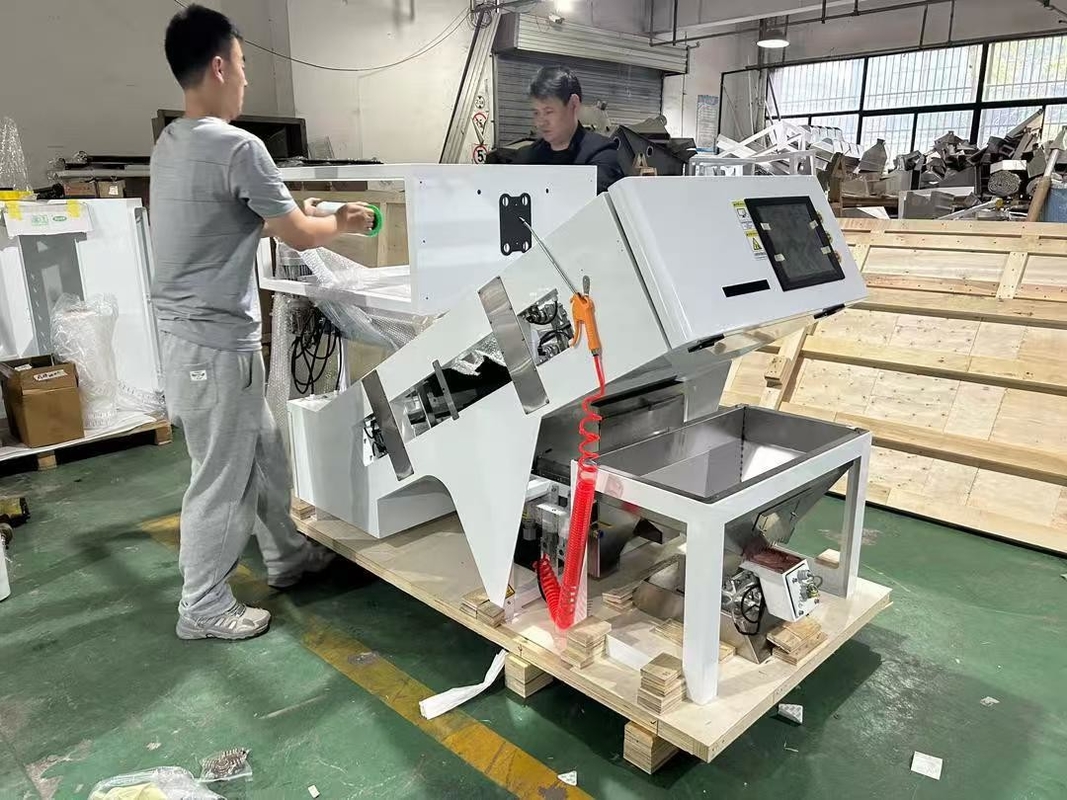 SUPERB BELT COLOR SORTER voor het sorteren van kersenkoffie