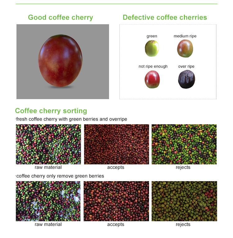 Mini Belt Cranberry Blueberry Kleur Sorter High Coffee Cherry Kleur Sorter Machine