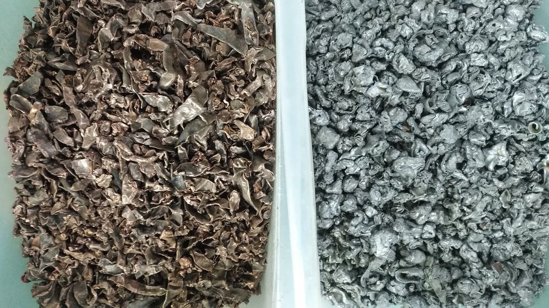 WENYAO Onderhoudsarme Metalen Riem Kleursorteerder Ideaal voor Recycling Toepassingen​ Fabriek voor Metalen Kleursorteerders te Koop