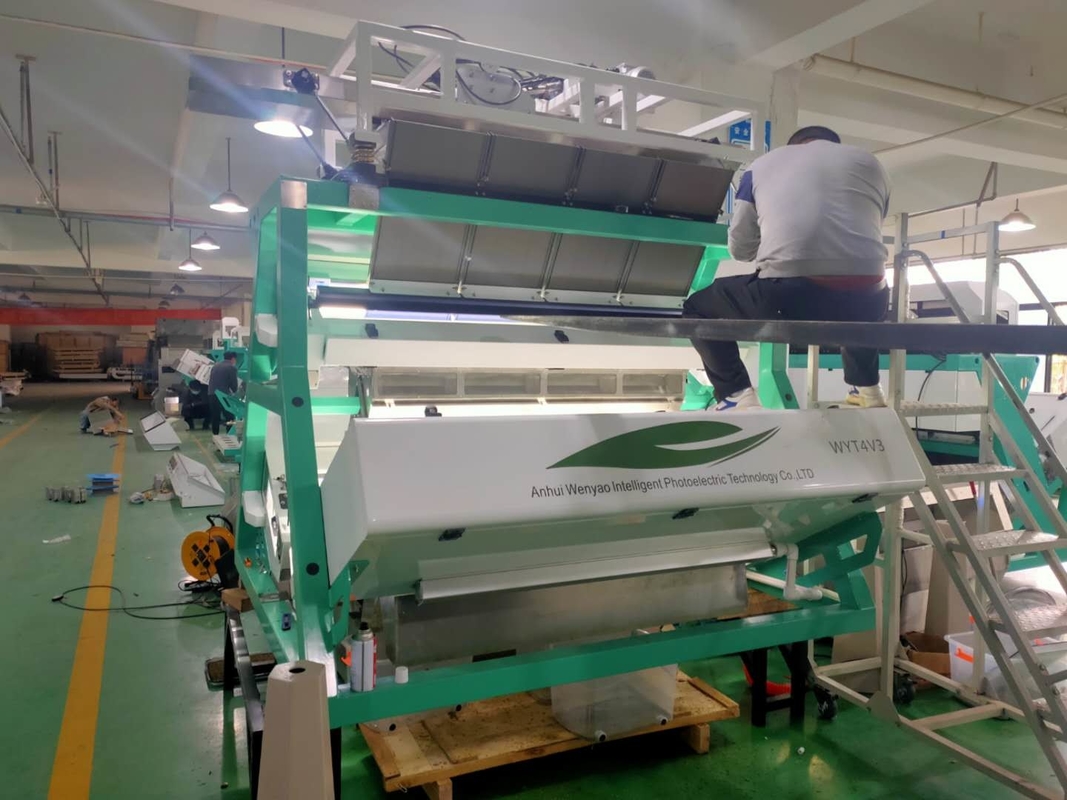 Wenyao CCD-theesorteermachine voor het sorteren van zwarte thee