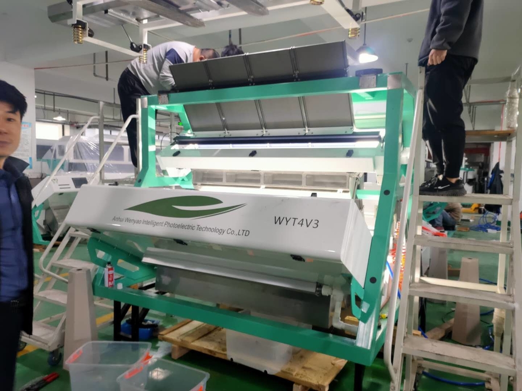 Wenyao CCD thee-sortmachine voor zwarte thee Groene thee kleur sorteren Machines verwijderen van thee blad tak onzuiverheid