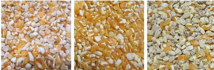 10 chutes kleur sorter multifunctionele graan sorteermachine voor graanverwerkingsfabriek gemaakt in China