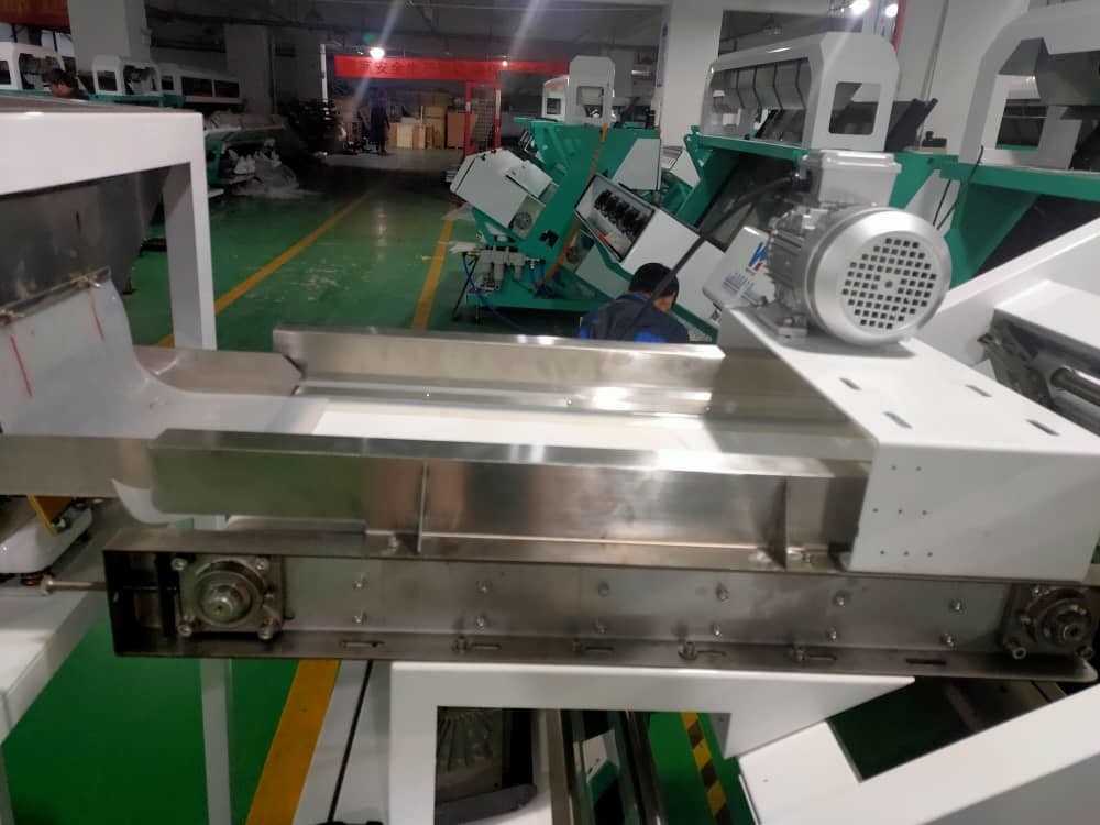 Wenyao Intelligent Coffee Cherry Color Sorter Multifunktioneel kleur sorteren machine voor vers en bevroren fruit