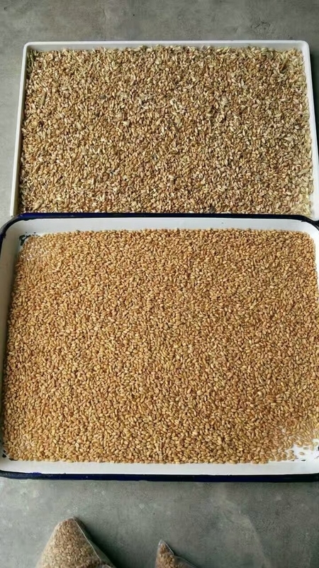 China Kleur Sorter Rijst Tarwe Optische Wenyao Kleur Sortering Machines Hoogpressi Ccd Camera 320 Kanalen