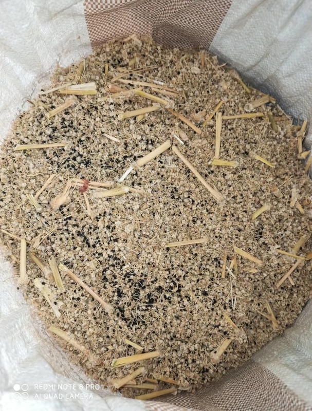 WENYAO zaadkleur sorteermachine met 99,99% sorteren nauwkeurigheid