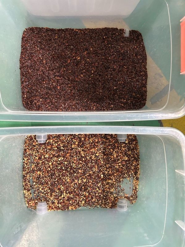 Automatische koffiebonennoot-peanut kleur sorter kleur scheider bonen sorteringsmachine uit China