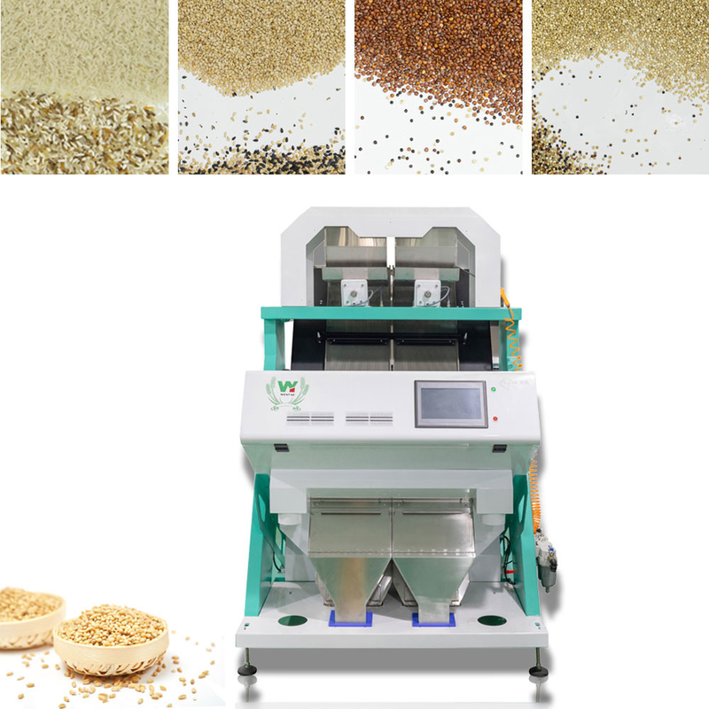 Wenyao Hoge sorteerprecisie Macadamia-nootkleursorteermachine