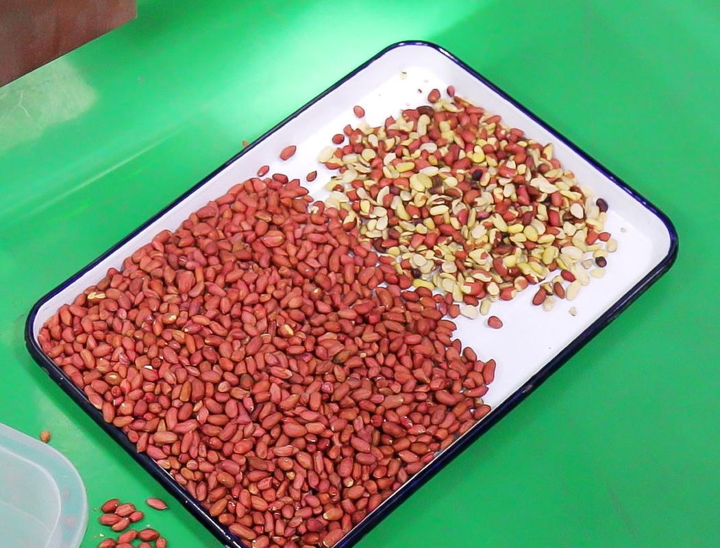 Wenyao Pine Nuts Kleur Sorter Machine Pistaciosa Sorter Machine Macadamia Nuts Kleur Sorter