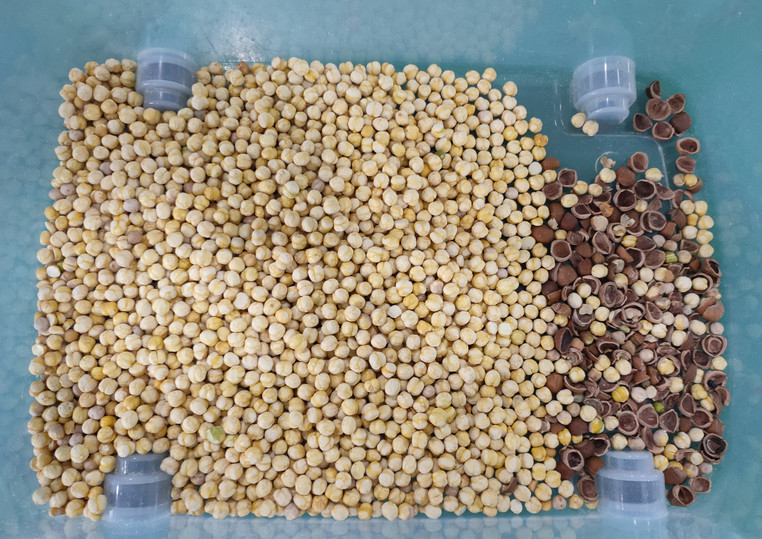 Wenyao Intelligent High Precision Pecan Color Sorter Machine Multi-Function Cashew Hazelnut Nuts Sortering Machine