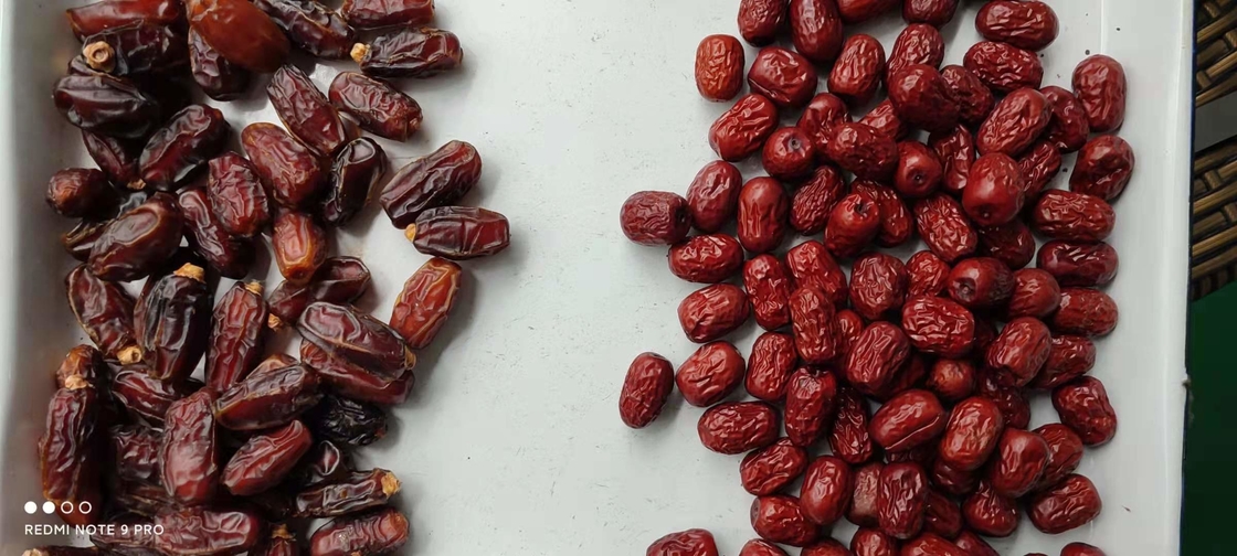 LED-lichtbron en machinefunctie Vorm Sorter Hoge capaciteit Gordel Kleur Sorter Voor Jujube Datum sorteren