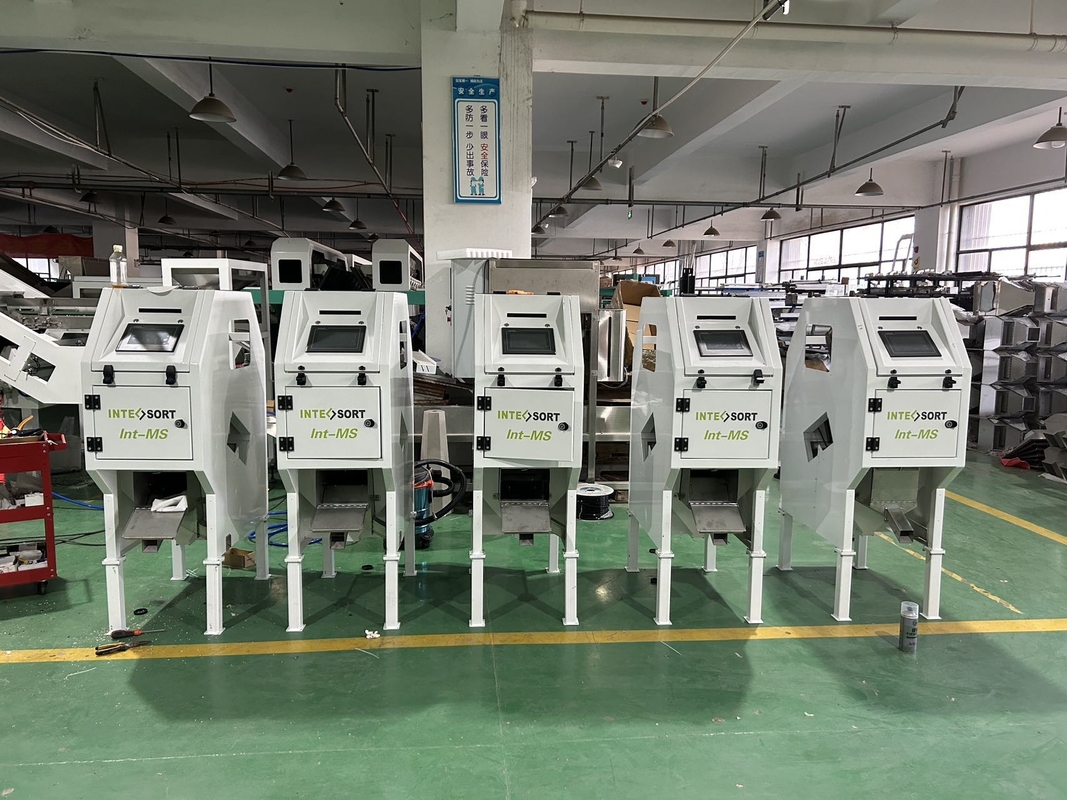 WYCS1-32 Intelligente Macadamia-noot Cashew CCD Sorteren machine Rijst selector machine Graan kleur sorteren lage prijs
