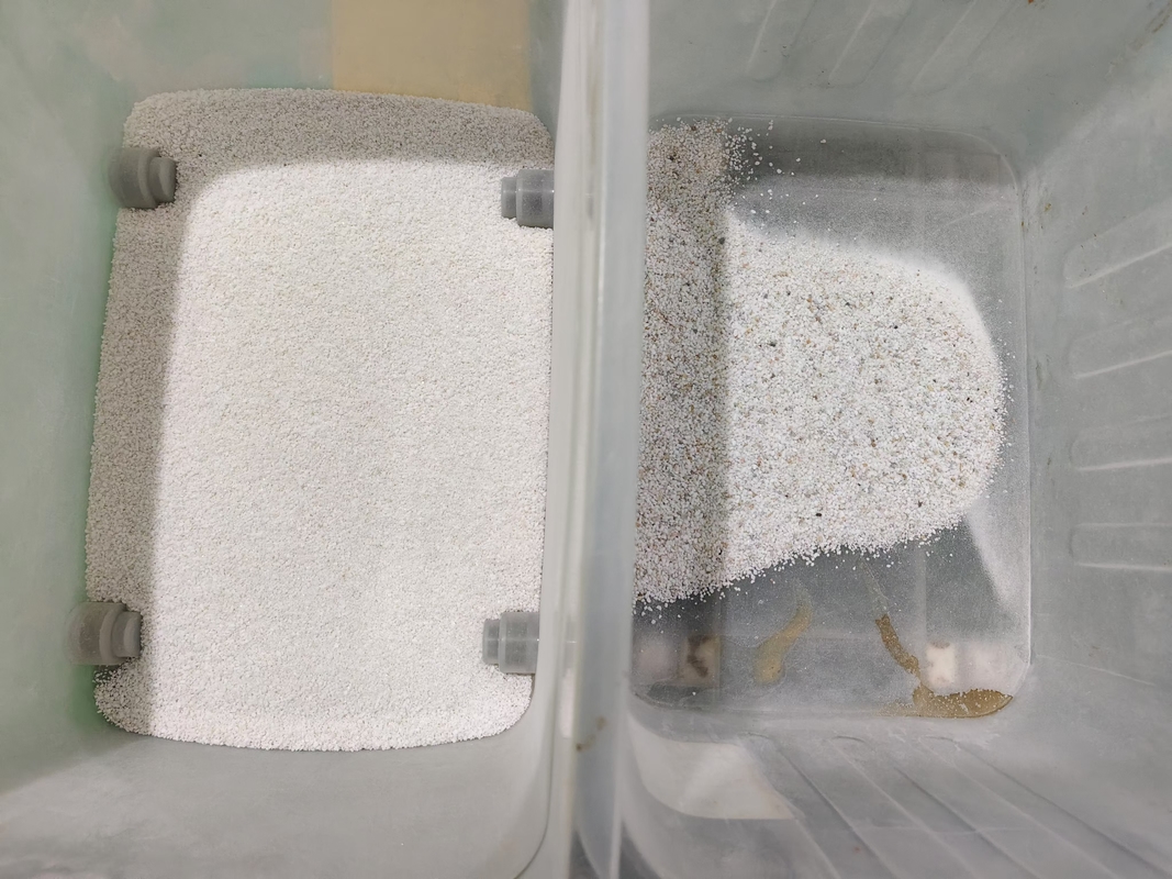 Roestvrijstalen hoppers natte zoutkleur sorteermachine met volledige ccd camera