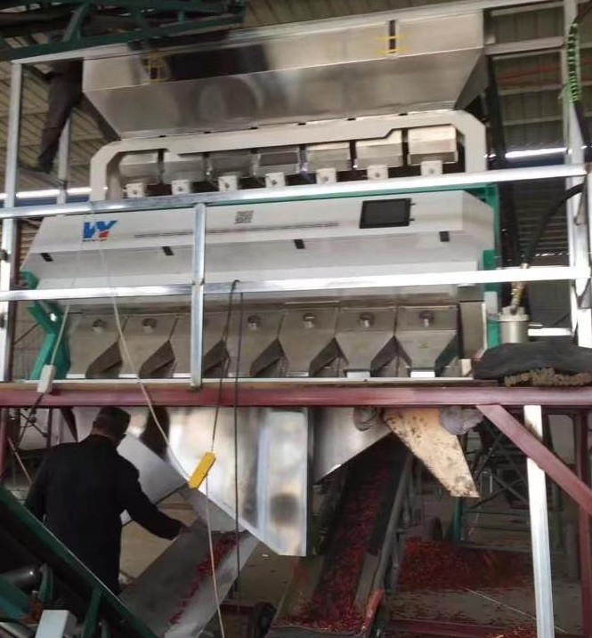 Intelligente kleursorteerder CCD-camera Kleursorteerder Rosyn Kleursorteermachine