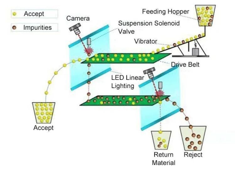 Wenyao Gordel Type Volledige Plastic Fleskappen Kleur Sorteren Machine