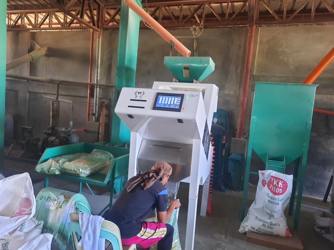 Wenyao Automatische druivenkleur sorteermachine Intelligente notenkleur sorteerder