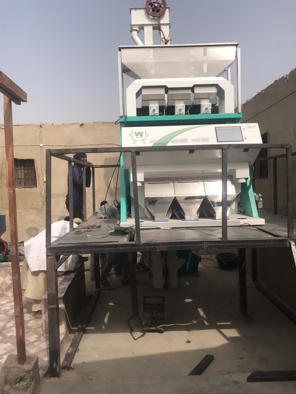 Wenyao Chickpea Kleur Sorter CCD Camera Bonen Kleur Sortering apparatuur