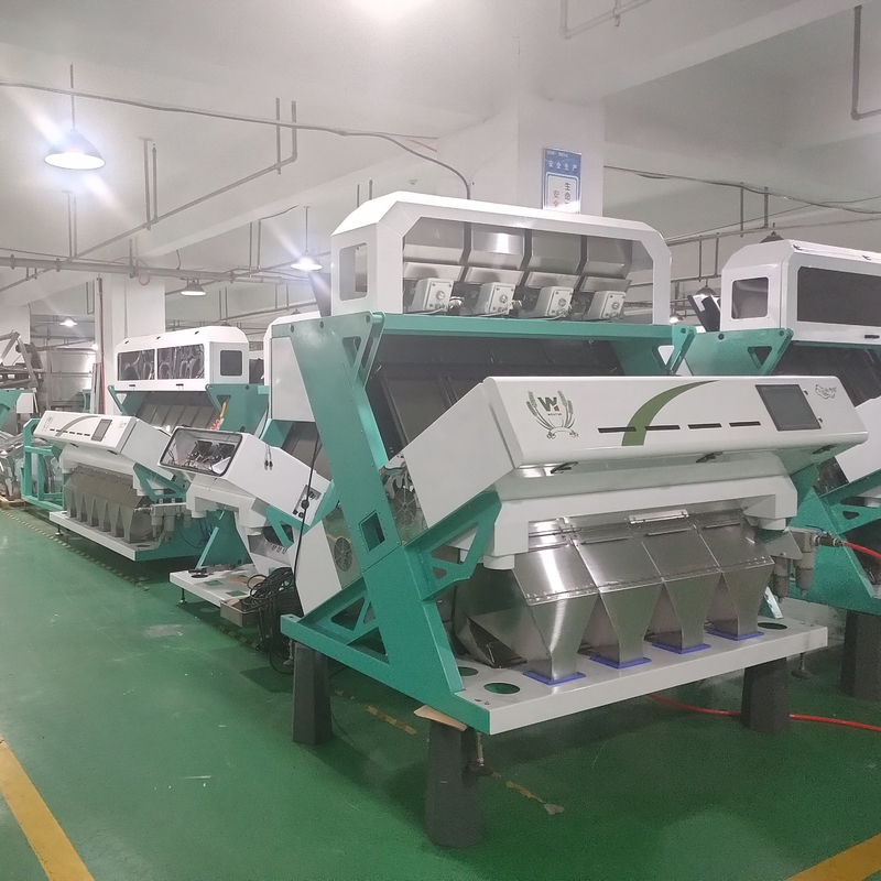Wenyao Automatische hazelnootkleurensorteerder Multifunctionele notenkleurensorteermachine