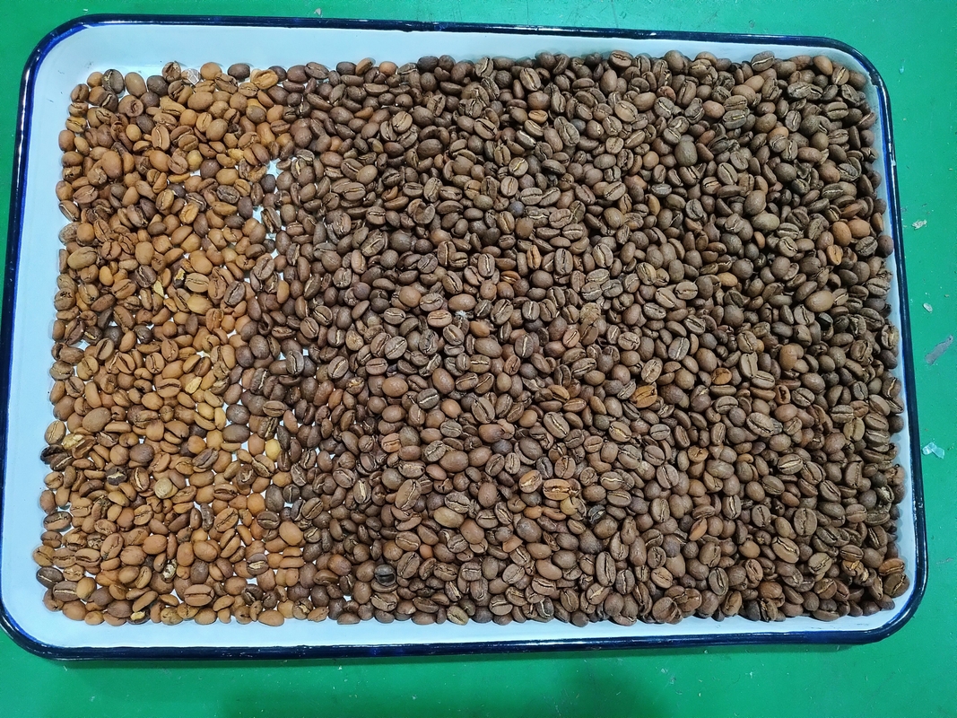 Koffie Kersen Sojabonen CCD Mini Zaden Kleur Sorteren Machine Graan Kleur Sorteren Machine