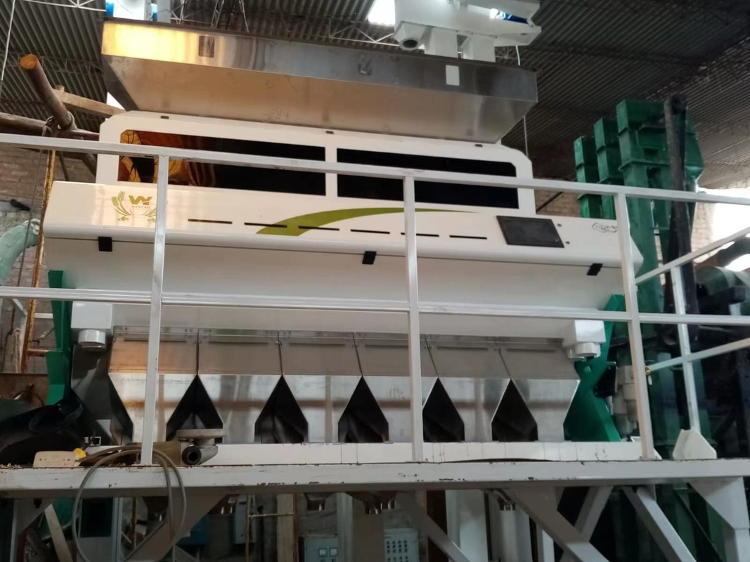Wenyao Intelligente Kleur Sorter Chickpea Kleur Sorteren Machine