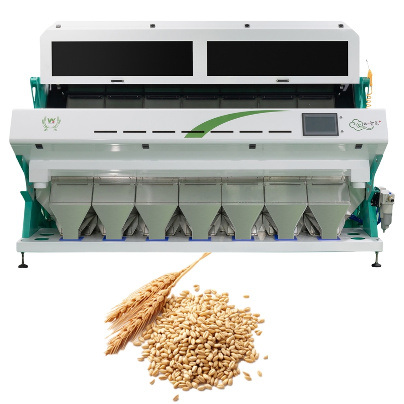 Wenyao Intelligent 7 Chute Kleur Scheidingsmachine Tarwe Kleur Sorter