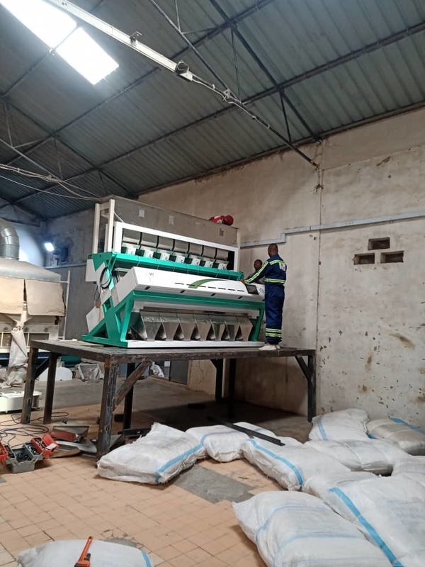 Wenyao 7 Chute Chinese fabrikant Kleur sorteren machine Chickpea kleur sorteren