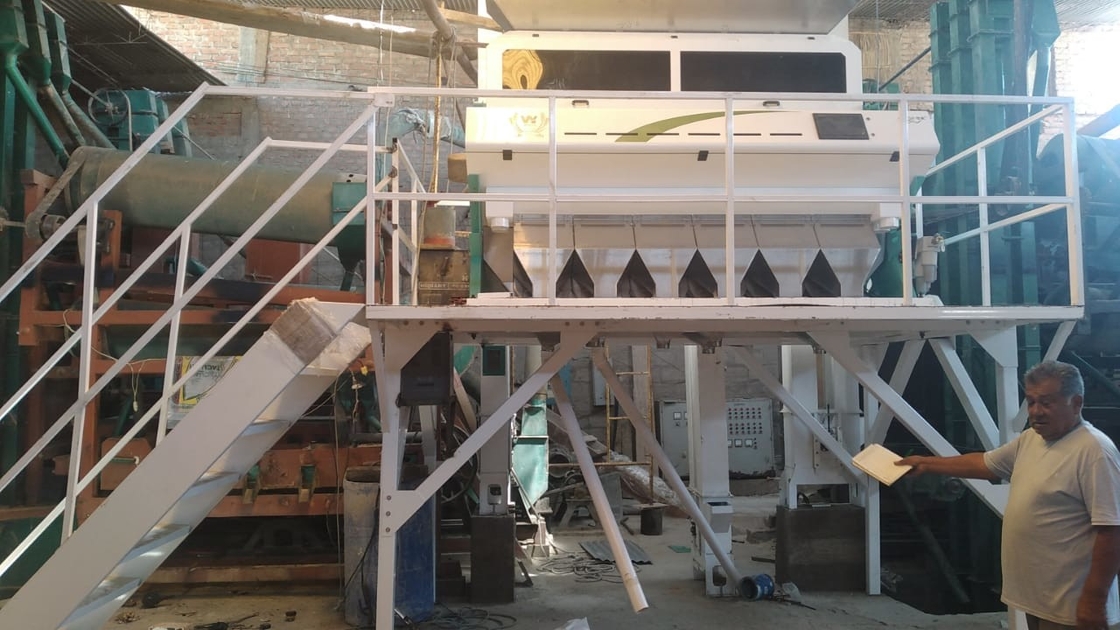 Wenyao CCD Camera Intelligente Kleur Sorter rozijn Kleur Sorteren Machine