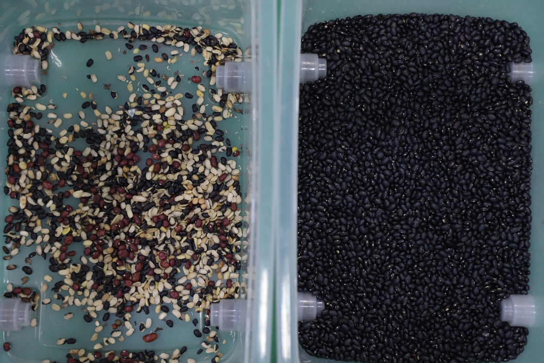Wenyao 8 Chute Professionele fabrikanten Kleur sorteren machine Zwarte bonen kleur sorteren