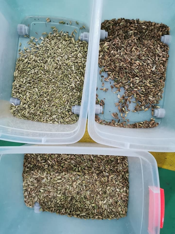 Wenyao Professionele Kleursorteermachine Automatische Cardamomsorteermachine