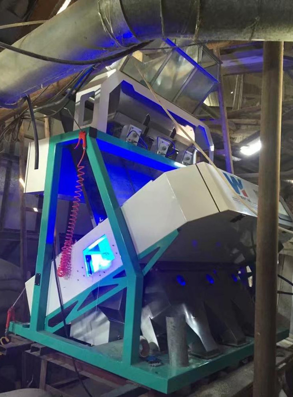 WenYao grondnoot scheiding machine kastanje walnoten kleur sorter voor het schoonmaken en rangschikken van pinda's