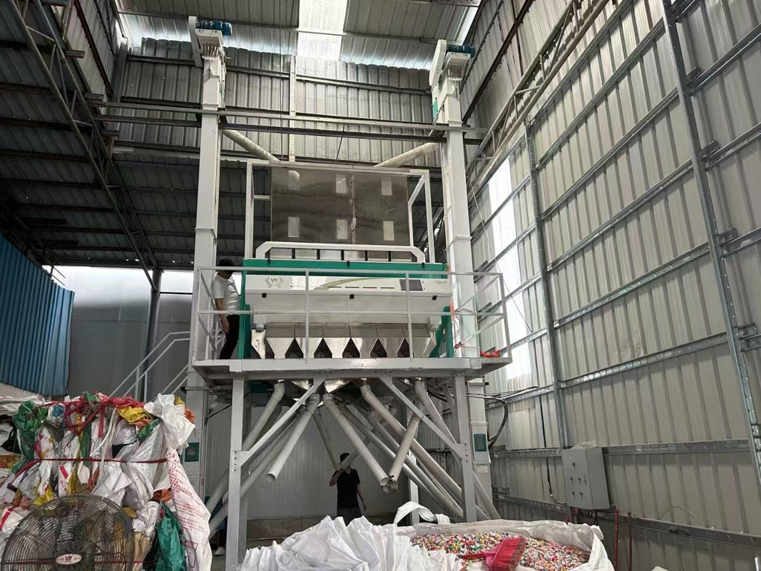 Buckwheat Millet Quinoa Zaden Kleur Sorteren vlaszaad Grove granen Kleur Sorteren Machine