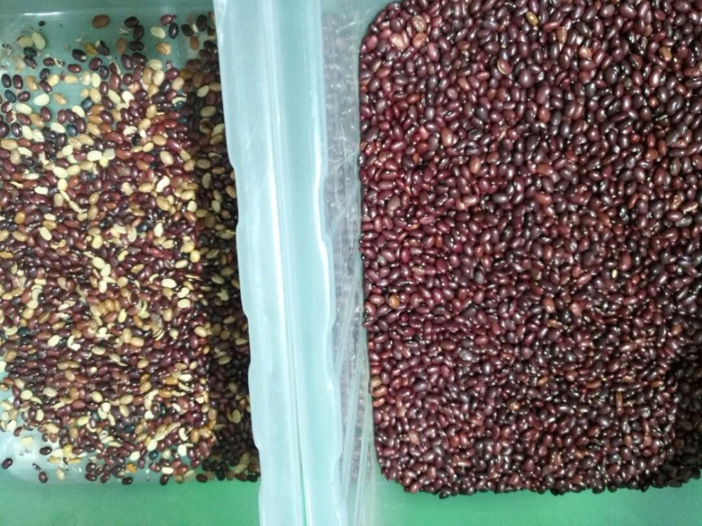 Wenyao Professional Red Kidney Bean Color Sorter Optische kleur sorteermachine voor bonen Granen