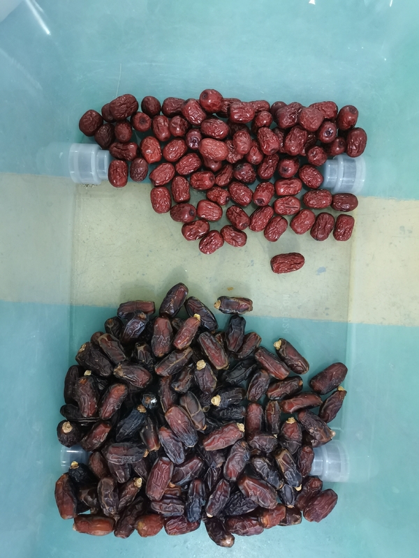 Rood Jujube Kleursorteermachine Automatische Kleursorteerder Voor Noten Bonen