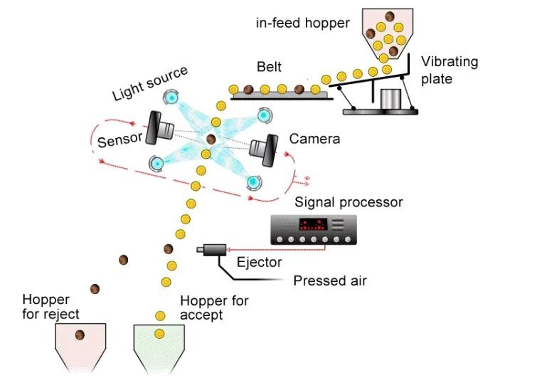Wenyao Multifunktioneel Gordelstijl Kleur Sorteren Intelligente Industriële Mineraal Kleur Sorter