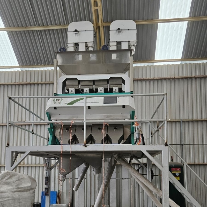Wenyao Chinese Fabriek Direct Verkoop Kleur Sorter Multifunctionele Nierbonen Kleur Sorteren Machine