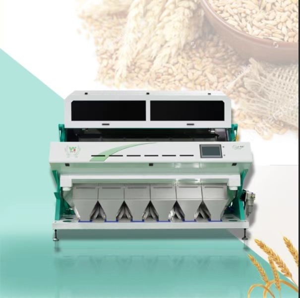 Optische kleursorteerder voor bokweedgraan Koffie schoonmaak kleursorteerder Kleursorteermachine Kleursorteerder Separator voor tarwe Gerste Maïs