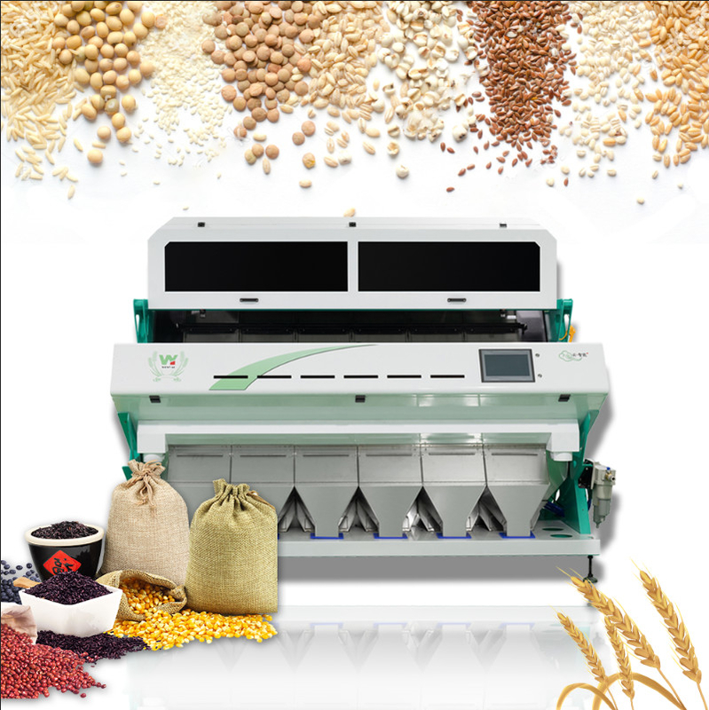 Optische kleursorteerder voor bokweedgraan Koffie schoonmaak kleursorteerder Kleursorteermachine Kleursorteerder Separator voor tarwe Gerste Maïs