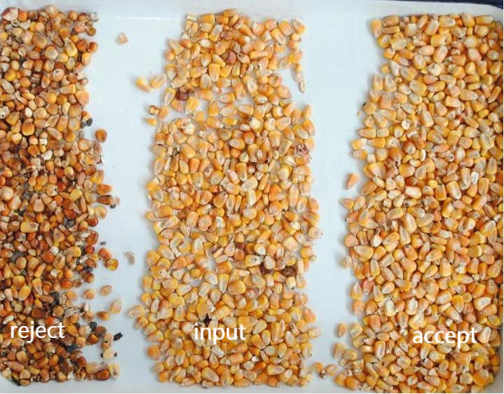 320-kanaals CCD-kleursorteerder voor rijstkorrels bonen met 99,99% nauwkeurigheid