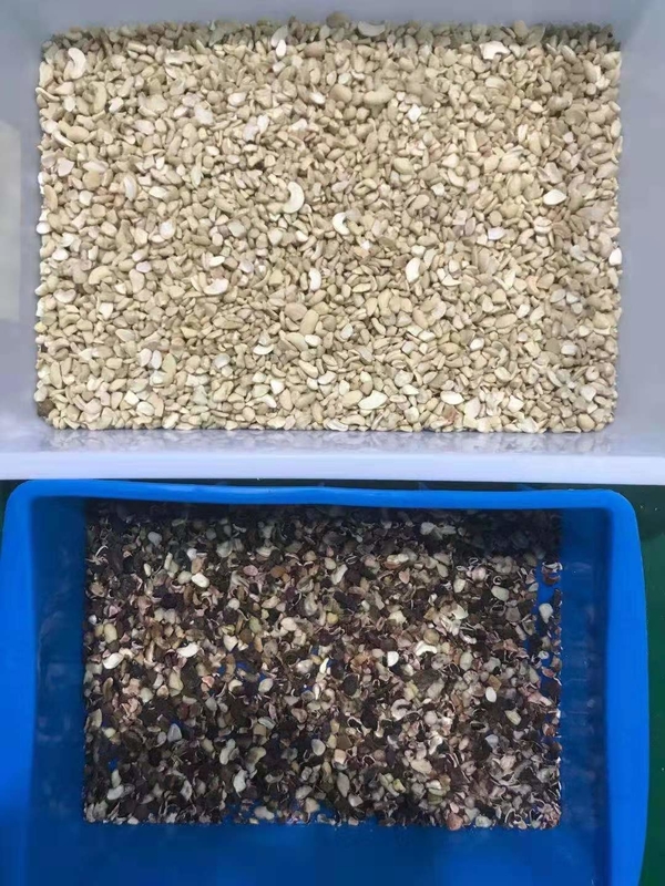 Professionele noten kleur sorteren machine sorteren apparatuur machine kleur sorteren