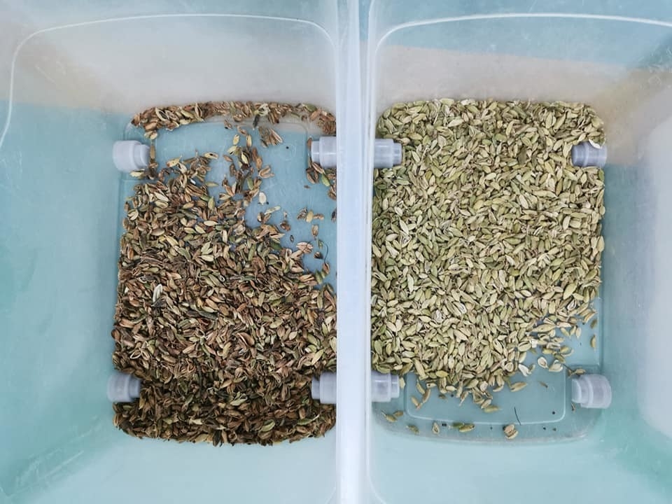 Cardamom kleur sorter chute stijl mini kleur sorteren machine voor bonen noten