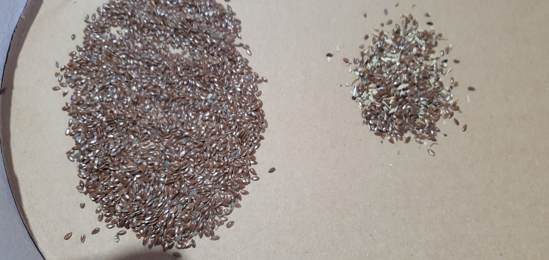 Wenyao 3 Chute Linnenzaad Kleur Sorter Intelligente Zaden Kleur Sorteren Machine