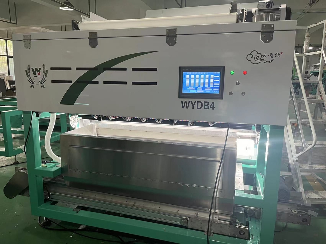 Wenyao aardbeien Kleur Sorter Intelligente riem Kleur Sorteringsmachine voor Bevroren Fruit Koffie Kersen Bosbessen aardbeien