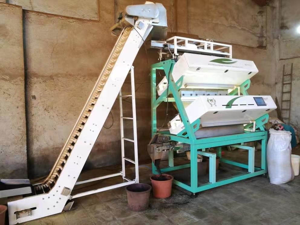 Zwarte groene thee kleur sorter optische thee sorteringsmachine voor de verwerking van thee