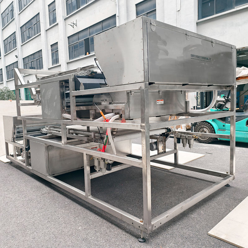 1200 mm gordel waterdicht roestvrij staal Olijvenkleur sorteermachine Bevroren aardbeienkleur sorteerder