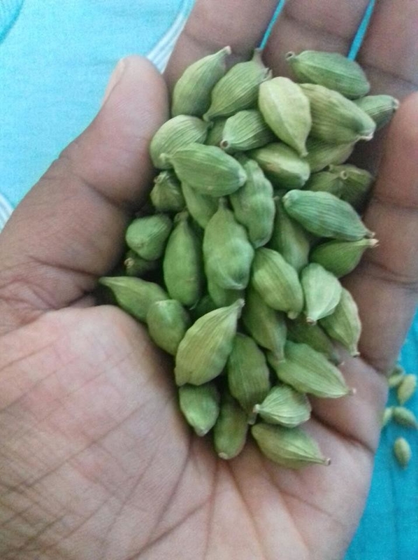 Wenyao 3 Chute Intelligent Corn Bean Cardamom Kleur Sorter Machine