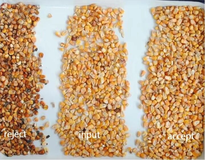 Automatisch 7 Chute Style High Technology AI Roseship Seed Rapseeds Kleur Sorter Machine