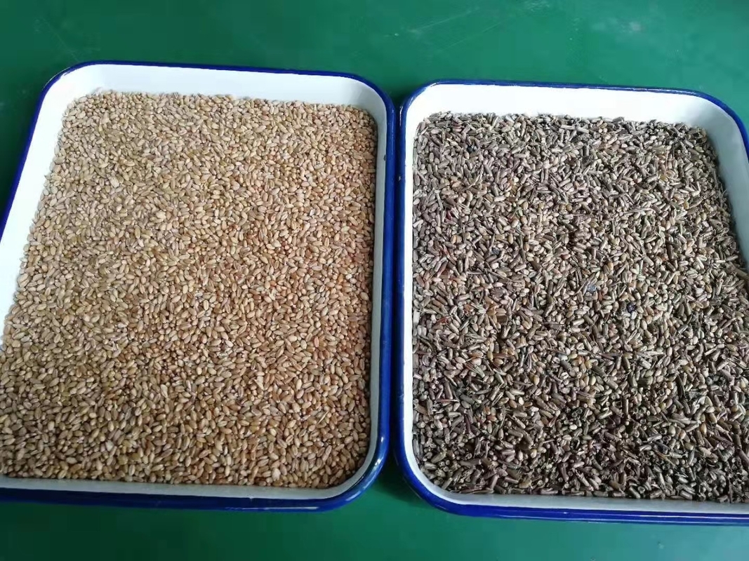 WENYAO High-Speed Self-Cleaning for Grain Rice Sorting Operations Color Sorting Machine