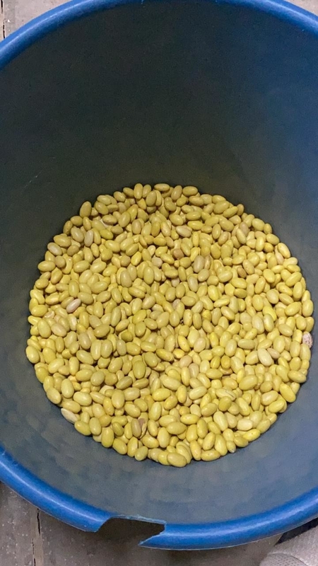 Wenyao Chinese Fabriek Direct Verkoop 4 Chute Sojabonen Kleur Sorteermachine