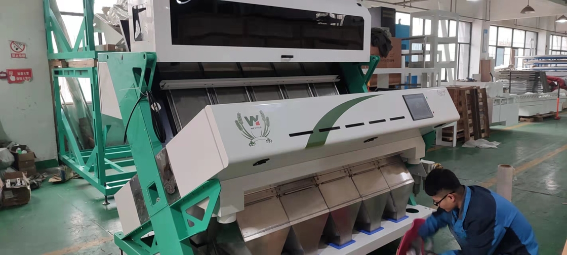 Optische CCD-camera Plastic Color Sorting MachinePlastic Pet Granules Flakes Sorting Machine