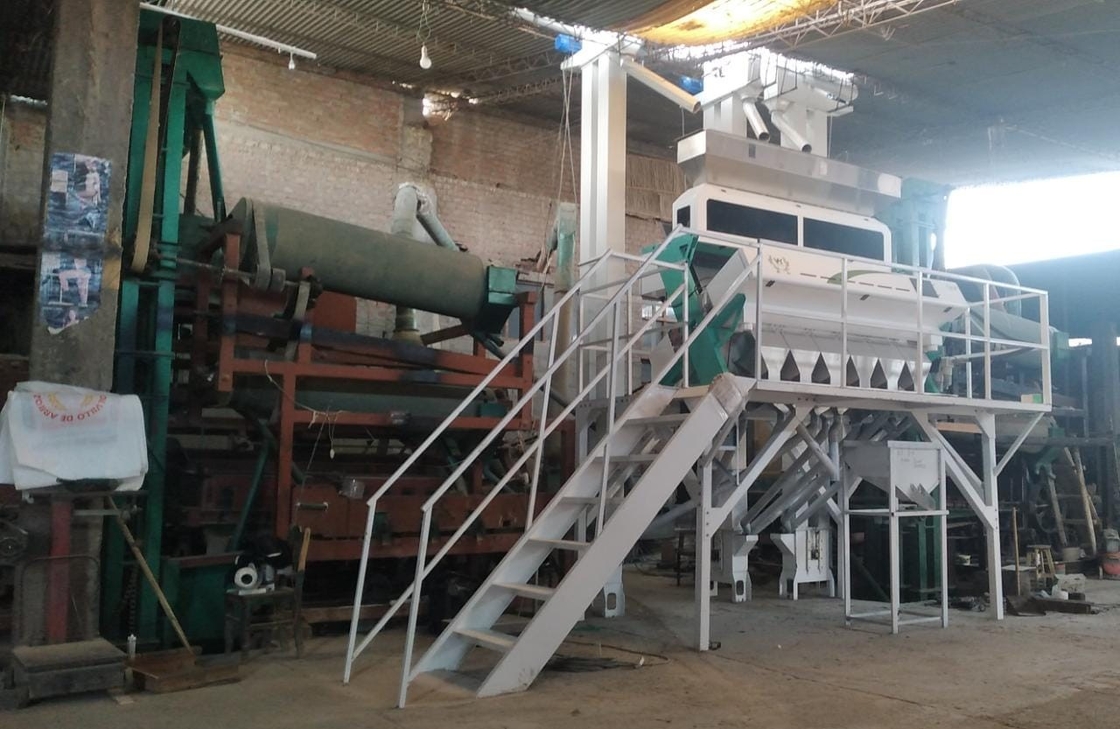 Wenyao nieuwste optische CE-certificaat pompoenzaden watermeloenzaden kleur sorteren machine